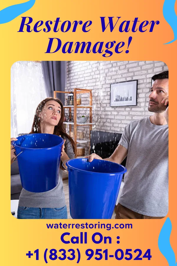 water restoration Vigilant Water Mitigation Specialists Salineño North