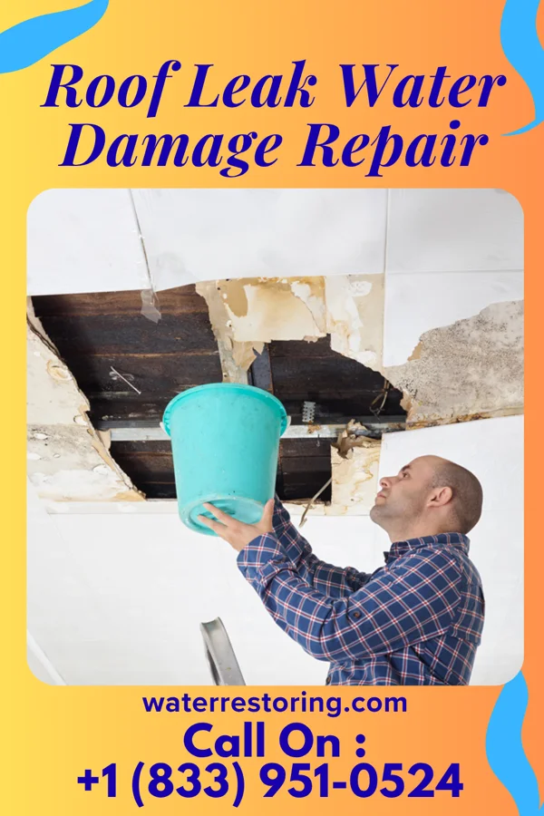 Roof Leak Water Damage Repair in Salineño North, TX