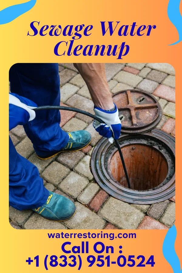 Sewage Water Cleanup in Salineño North, TX
